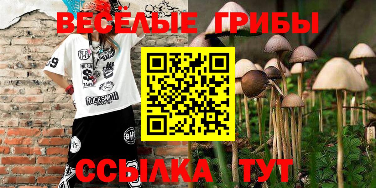 Псилоцибиновые грибы GOLDEN TEACHER Кизляр