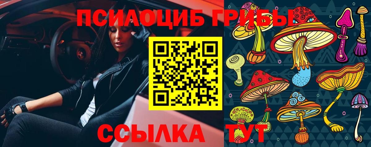 Псилоцибиновые грибы GOLDEN TEACHER  Вход с VPN  Кизляр  Псилоцибиновые грибы GOLDEN TEACHER 